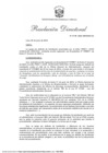 Vista preliminar de documento RD-118