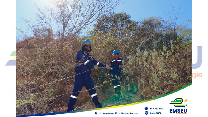 ¡Avances en nuestros proyectos!