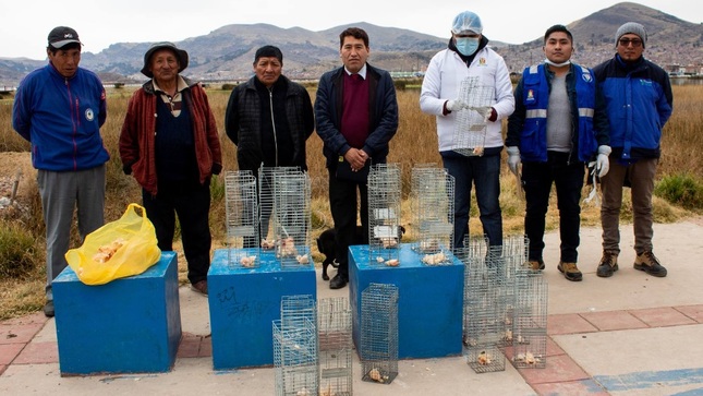 Operativo de control de roedores busca mejorar la salud pública en el pasaje los Urus