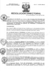 Vista preliminar de documento R.D N° 161-2024-HMA-DG