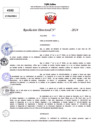 Vista preliminar de documento Resolucion Directoral N° 003975-2024