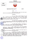 Vista preliminar de documento Resolucion Directoral N° 003980-2024