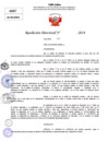 Vista preliminar de documento Resolucion Directoral N° 003982-2024