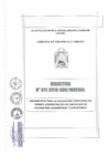 Vista preliminar de documento Directiva NRO 011-2018-MDCGAL