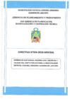 Vista preliminar de documento Directiva NRO 024-2018-MDCGAL