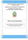Vista preliminar de documento Directiva NRO 029-2018-MDCGAL