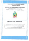 Vista preliminar de documento Directiva NRO 021-2018-MDCGAL
