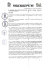 Vista preliminar de documento Ordenanza Municipal NRO 017-2019