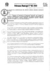 Vista preliminar de documento Ordenanza Municipal NRO 025-2019