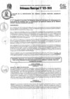 Vista preliminar de documento Ordenanza Municipal NRO 028-2019