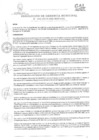 Vista preliminar de documento Resolución de Gerencia Municipal NRO 193-2019