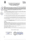 Vista preliminar de documento Acuerdo de Concejo NRO 009-2020