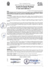 Vista preliminar de documento Acuerdo de Concejo NRO 029-2020