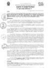 Vista preliminar de documento Acuerdo de Concejo NRO 030-2020