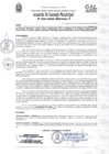 Vista preliminar de documento Acuerdo de Concejo NRO 036-2020