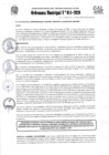 Vista preliminar de documento Ordenanza Municipal NRO 011-2020
