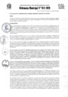 Vista preliminar de documento Ordenanza Municipal NRO 012-2020