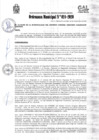 Vista preliminar de documento Ordenanza Municipal NRO 024-2020