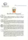 Vista preliminar de documento RD N°194-06-2024-DE-HCLLH-MINSA