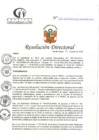 Vista preliminar de documento RD N°195-06-2024-DE-HCLLH-MINSA