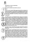 Vista preliminar de documento 1705960728_RA-010-2024