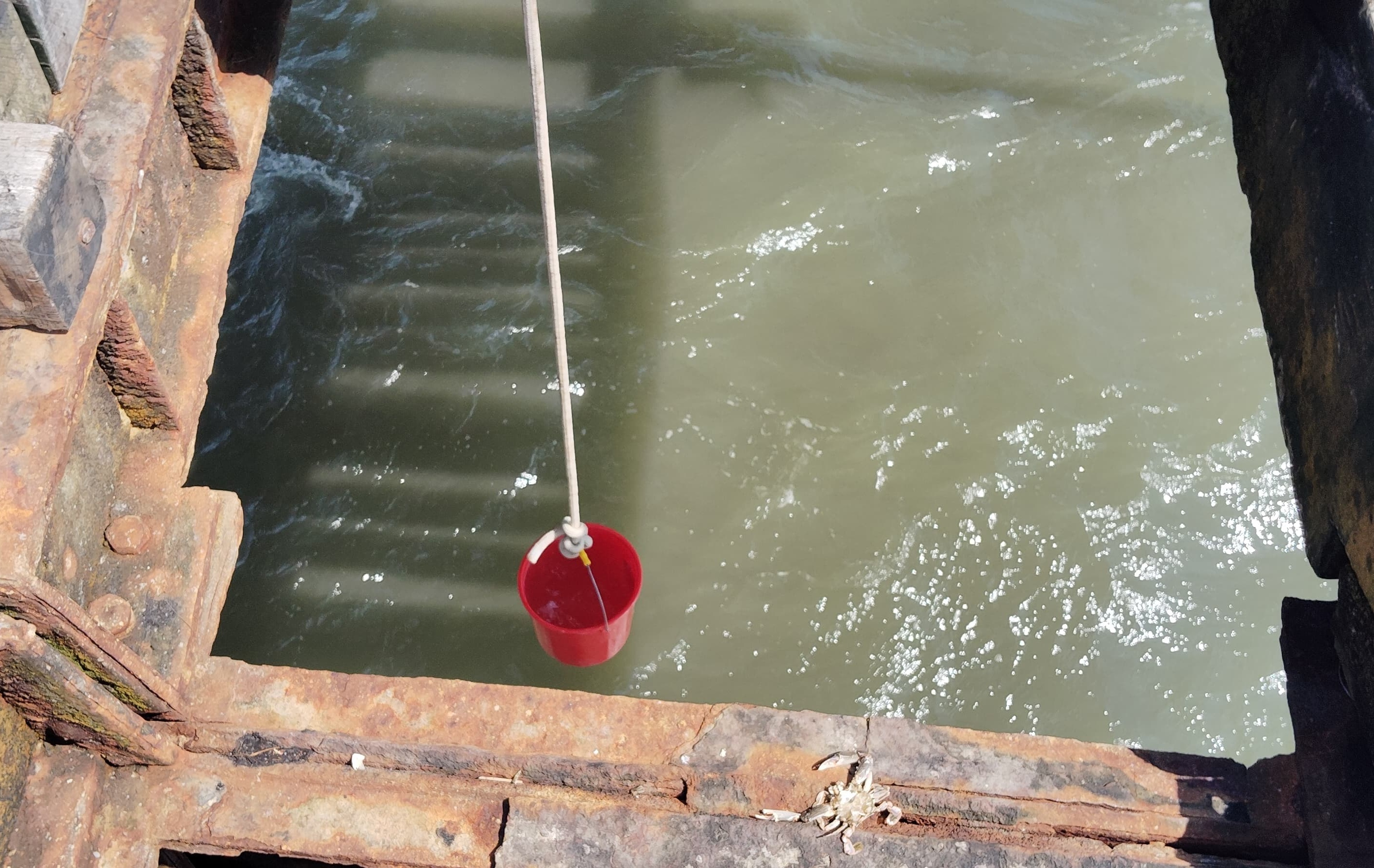 Trabajo de campo para las muestras de agua de mar y su análisis de Salinidad y PH