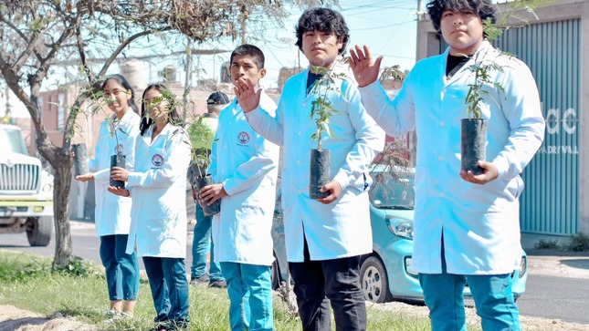 Descripcion de la foto