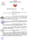 Vista preliminar de documento Resolucion Directoral N° 003988-2024