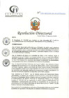 Vista preliminar de documento RD N°199-06-2024-DE-HCLLH-MINSA