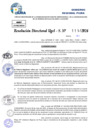 Vista preliminar de documento Resolucion Directoral N° 003989-2024