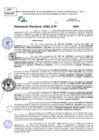 Vista preliminar de documento Resolucion Directoral N° 003991-2024