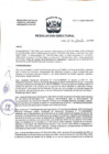 Vista preliminar de documento R.D Nº079 2024-HNAL-DG