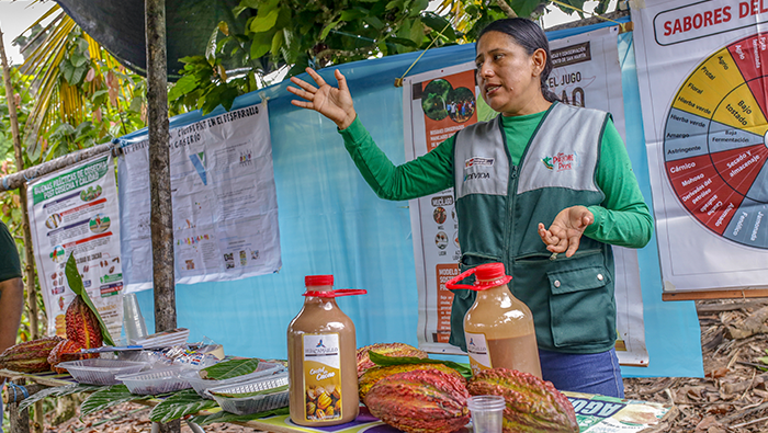 Más de 660 cacaoteros fortalecen conocimientos en cinco departamentos