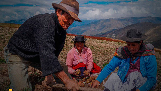Descripcion de la foto