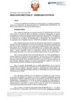 Vista preliminar de documento RD Nº D000084-2024-DE
