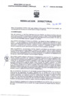 Vista preliminar de documento RD2024-195