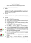 Vista preliminar de documento DIRECTIVA N° 004-2024-MIMP - Atención a personas adultas mayores en situación de riesgo