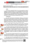 Vista preliminar de documento RDE 142-2024-DE - TIM III 2024 BASE