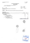 Vista preliminar de documento RER 288-2024-GOB_PARTE II