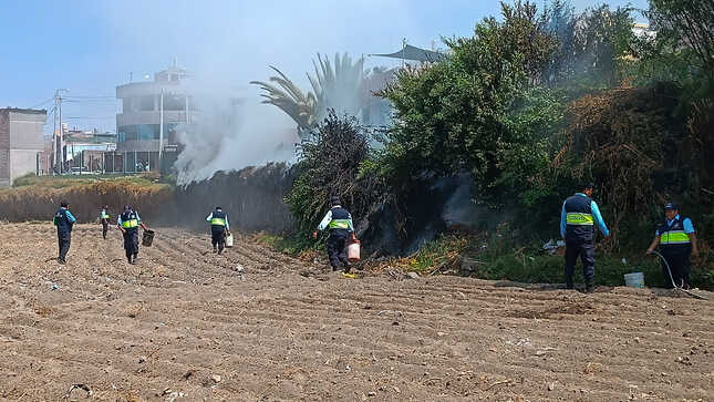

La rápida intervención del personal de Serenazgo de Paucarpata, bomberos, policía y vecinos ayudaron a controlar un incendio en los campos de cultivo del Pueblo Tradicional, al final de la Av. Kennedy.

El reporte de incendio se pudo visualizar gracias a las cámaras de videovigilancia a las 09:15 Hs. Inmediatamente se desplegó a los serenos quienes cuentan con capacitaciones para actuar en este tipo actividades.

Asimismo, se alertó del hecho a los Bomberos y Policía Nacional. Minutos después llegaron tres cisternas de la comuna de Paucarpata, y una máquina de la Compañía de Bomberos Miraflores 187 Rafael Glave para controlar el fuego. En tanto efectivos policiales y serenos se encargaron de desviar el tránsito vehícular y proteger a los vecinos del lugar.
