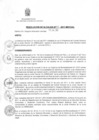 Vista preliminar de documento RESOLUCION DE ALCALDIA NRO 335- 2011-MDCGAL