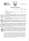 Vista preliminar de documento RD 070-2024-INO-D