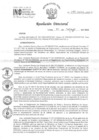 Vista preliminar de documento RD 081-2024-INO-D