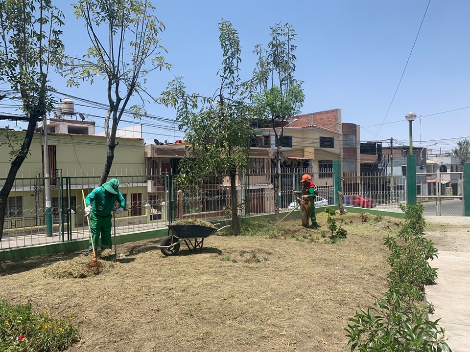 Nuestra cuadrilla de mantenimiento de parques y jardines, atendió de manera inmediata el pedido de los vecinos de la Urb. 15 de enero, se realizó la limpieza podado y mantenimiento del parque independencia