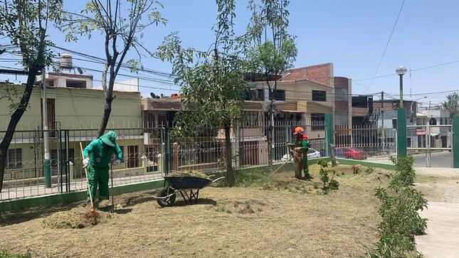 Nuestra cuadrilla de mantenimiento de parques y jardines, atendió de manera inmediata el pedido de los vecinos de la Urb. 15 de enero, se realizó la limpieza podado y mantenimiento del parque independencia