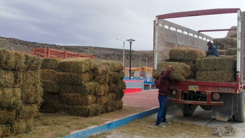 PAIS se entregan pacas de alfalfa y kits veterinarios