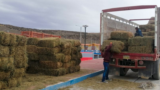 PAIS se entregan pacas de alfalfa y kits veterinarios
