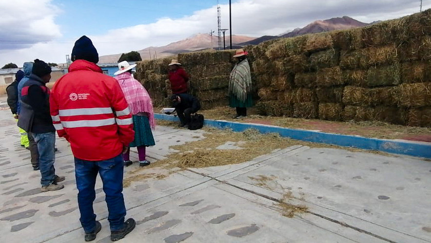 PAIS se entregan pacas de alfalfa y kits veterinarios