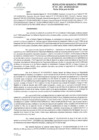 Vista preliminar de documento RGR GRI N° 133-2024