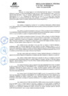 Vista preliminar de documento RGR GRI N° 132-2024